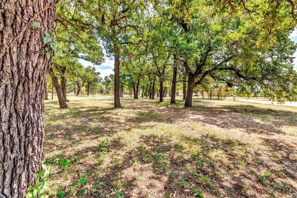Pecan Farm Haus フレデリックスバーグ エクステリア 写真