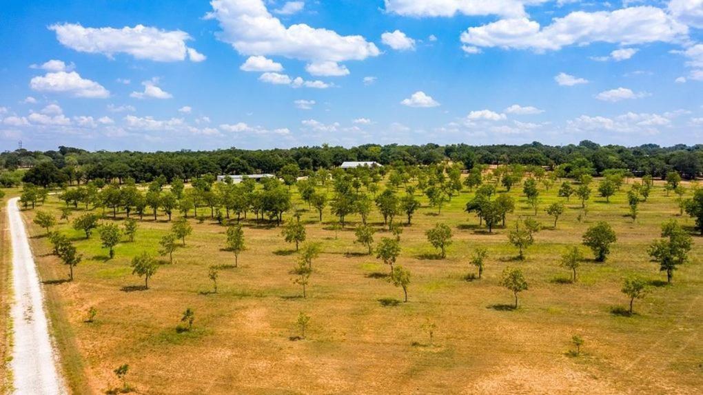 Pecan Farm Haus フレデリックスバーグ エクステリア 写真